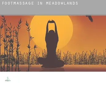 Foot massage in  Meadowlands